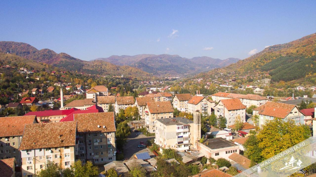 1St Apartment Nehoiu Exterior photo